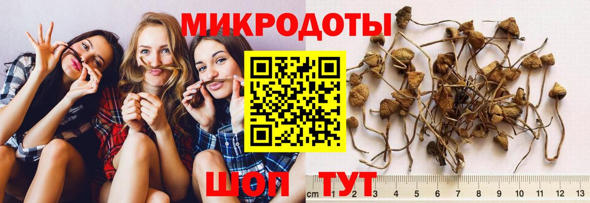 Псилоцибиновые грибы Psilocybe  Вход с VPN  Галлюциногенные грибы мицелий  Елец 